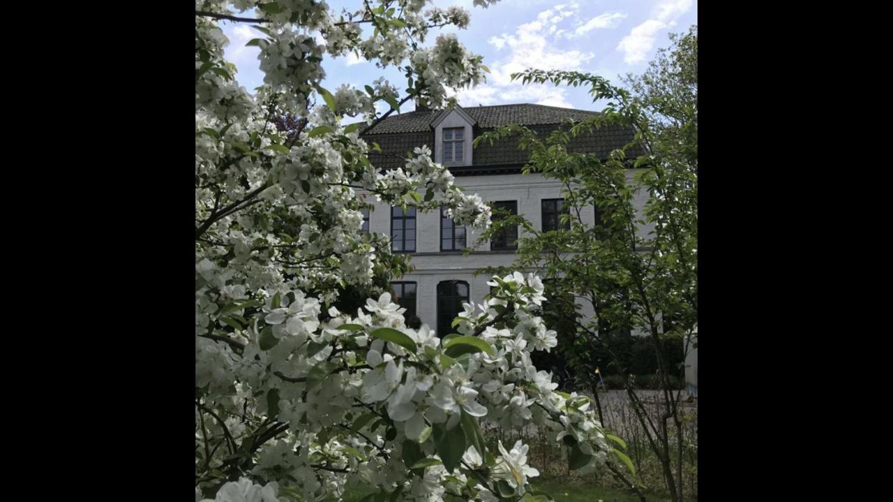 Bed and Breakfast Pastorie Caeneghem Kanegem Екстер'єр фото